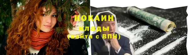 ГАЛЛЮЦИНОГЕННЫЕ ГРИБЫ Гусев