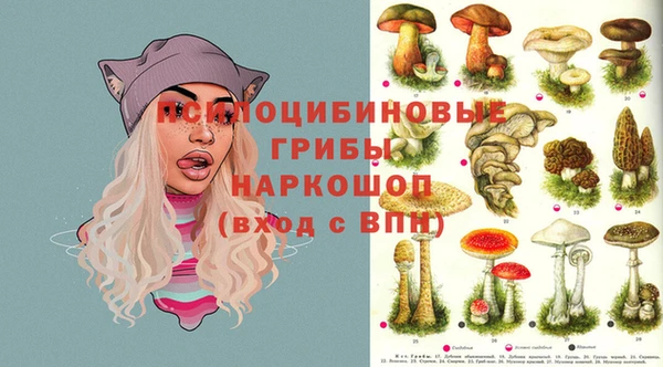 герыч Белокуриха