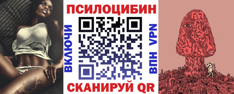 Псилоцибиновые грибы Psilocybine cubensis  Волжск 