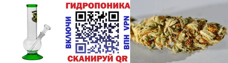 купить закладку  Волжск  Бошки Шишки Bruce Banner 